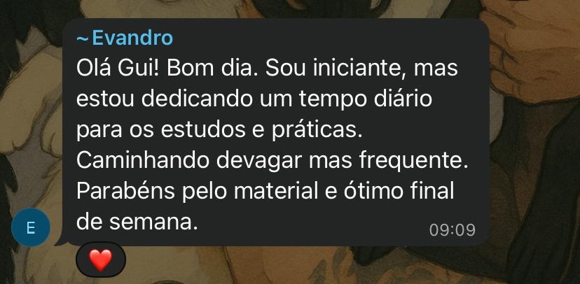 Depoimento real de aluno via WhatsApp — experiência positiva com as aulas
